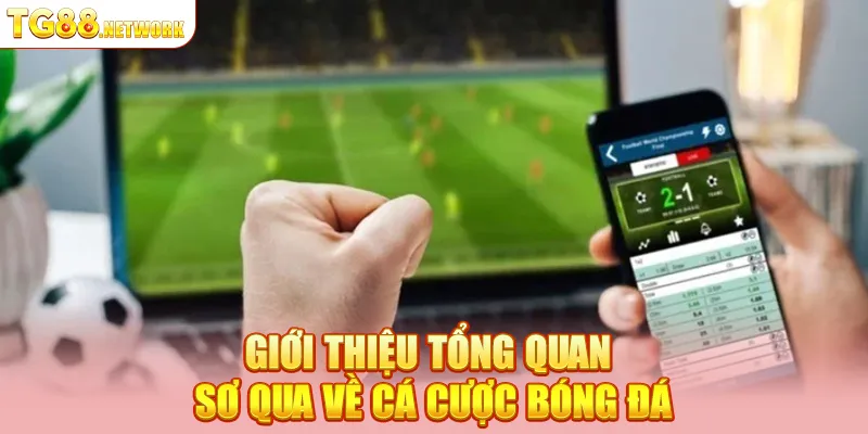 Giới thiệu tổng quan sơ qua về cá cược bóng đá