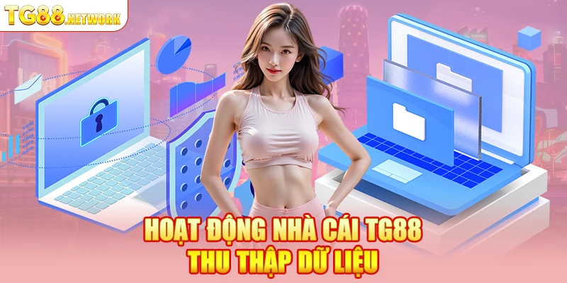 Hoạt động nhà cái TG88 thu thập dữ liệu
